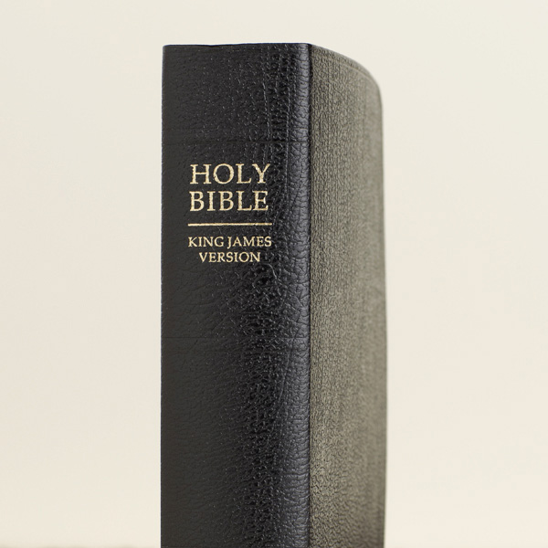 holy-bible-mormon